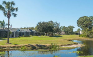 Pond on golf course