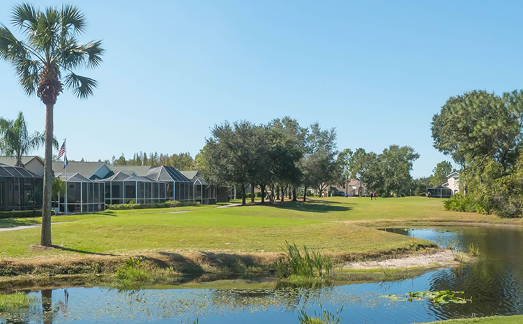 Pond on golf course