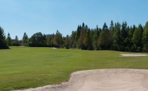 View of golf course green with trees
