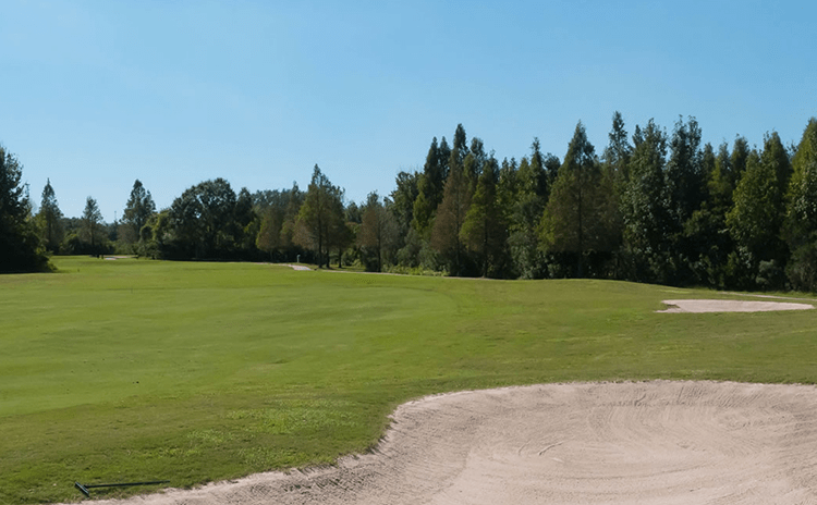 View of golf course green with trees 